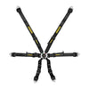 Schroth Flexi 2x2 Harness