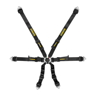 Schroth Flexi 2x2 Harness