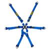 Schroth Flexi 2x2 Harness