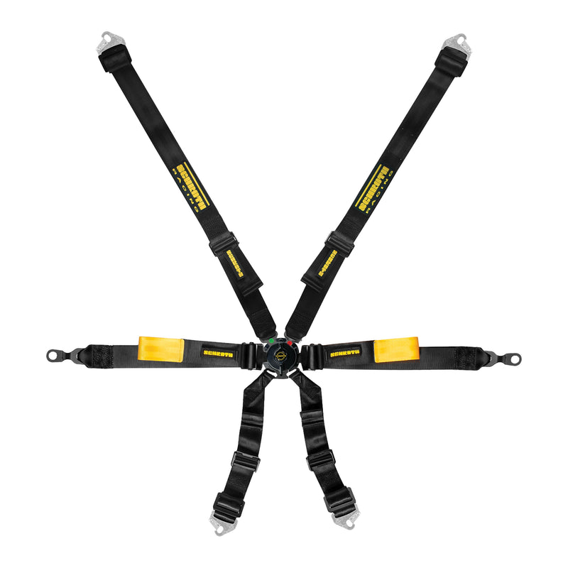 Schroth GT3 Enduro 2x2 Harness